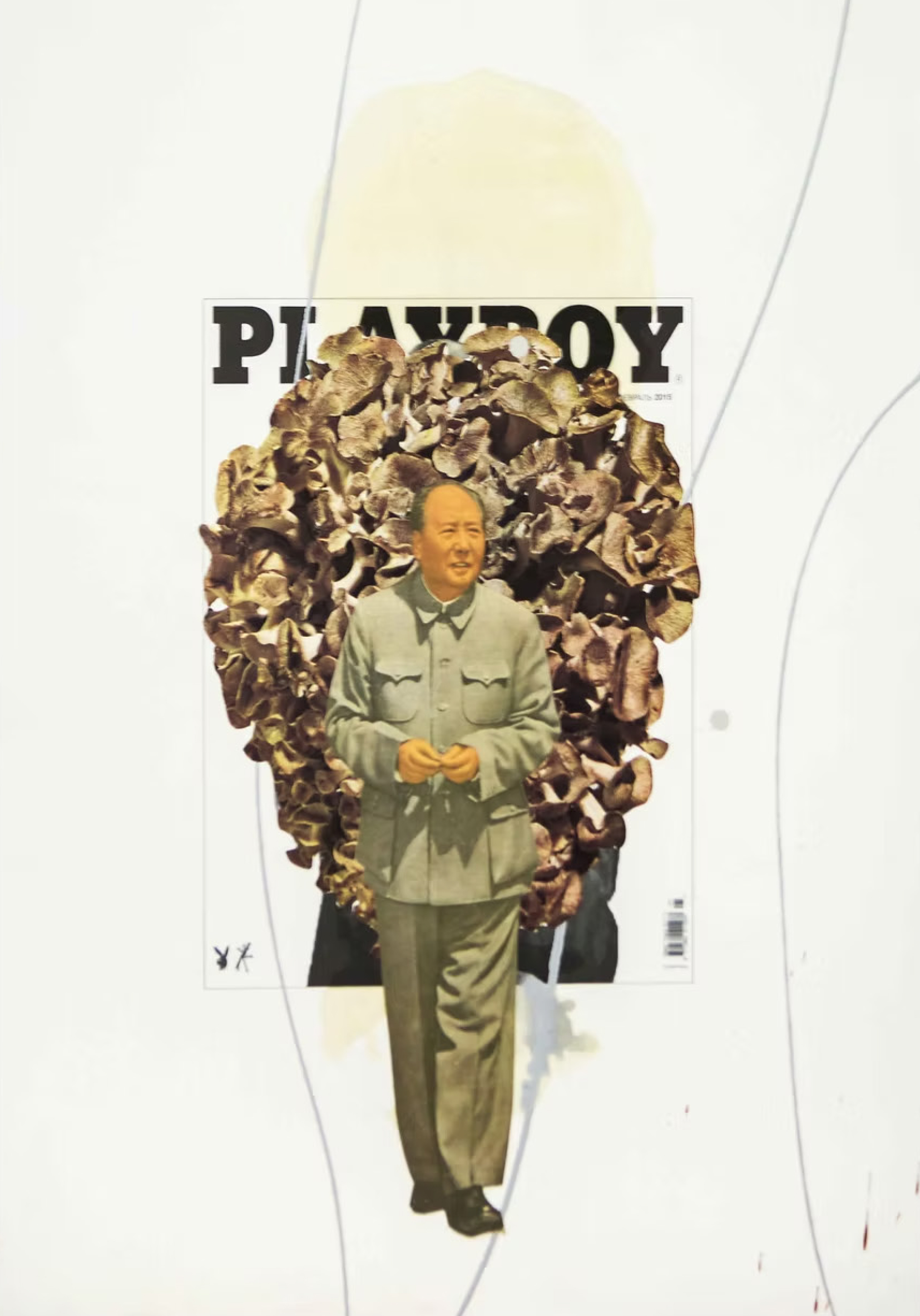 07 playboy collage w