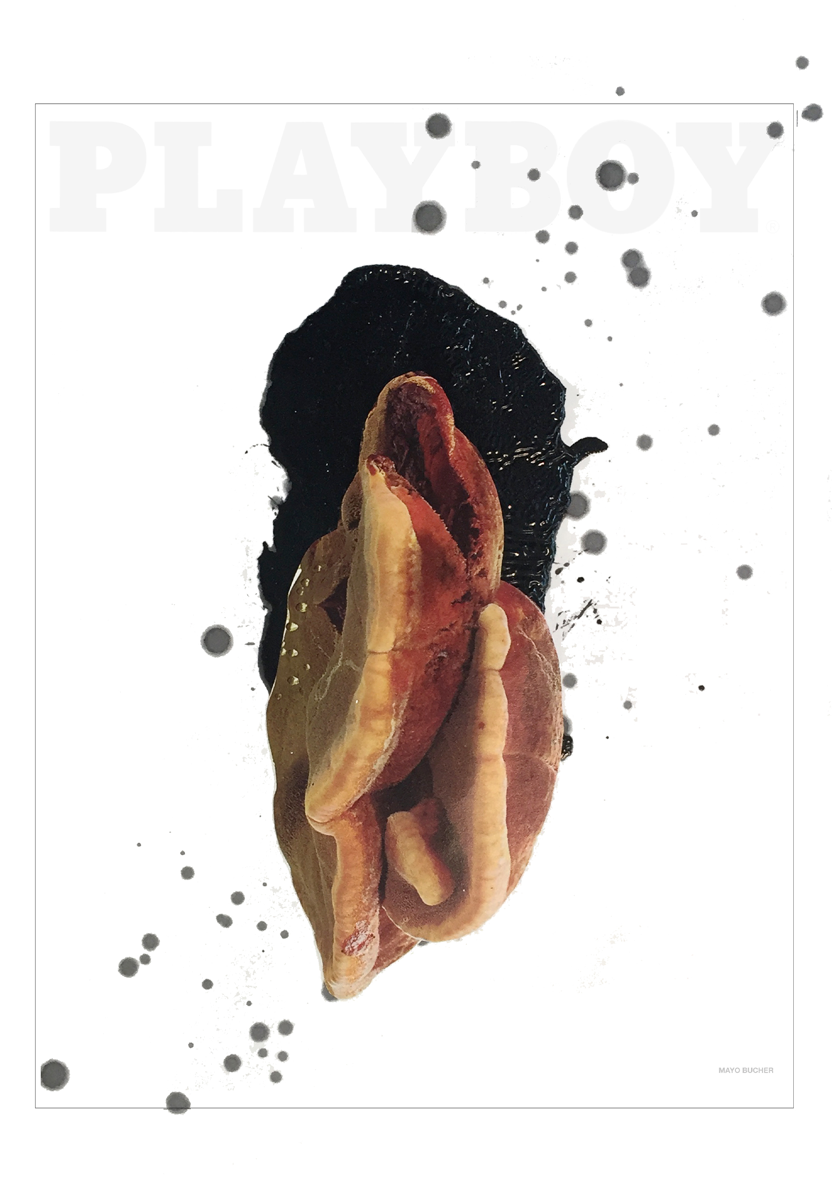 09 playboy collage w